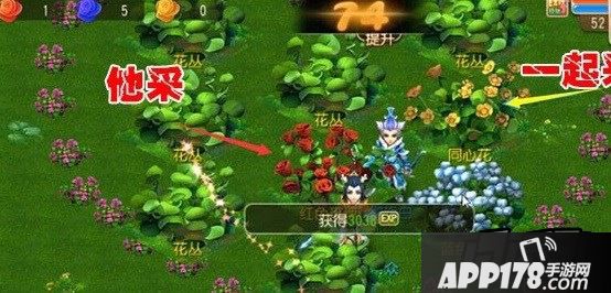 梦幻西游手游七夕鹊桥采风活动玩法流程及奖励图文详解