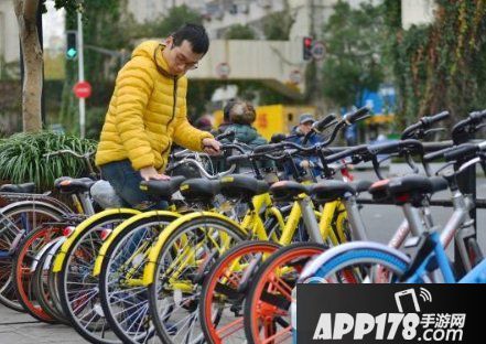 共享单车暂停投放是怎么回事 共享单车暂停投放原因1