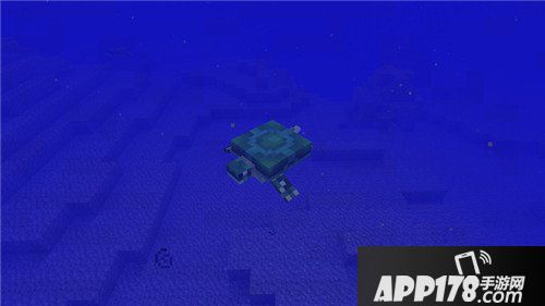 我的世界海龟即将加入 新生物海龟已确定