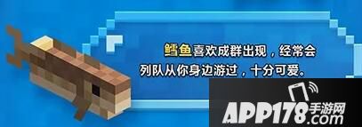 我的世界海洋之约 海洋更新盛夏清凉上线
