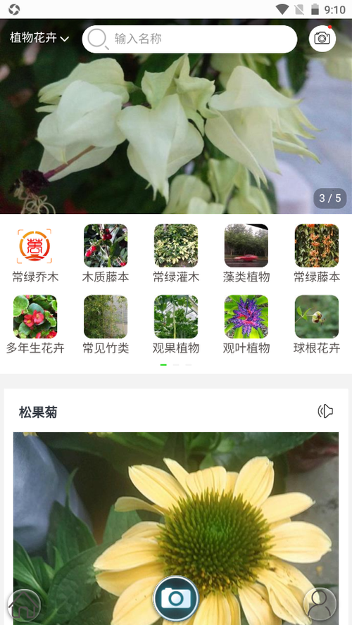 拍照识别植物的app(拍照识别植物app排行榜)