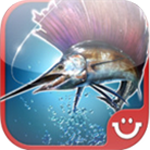 钓鱼发烧友:野生捕捞