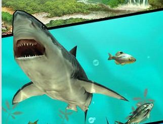 钓鱼发烧友:野生捕捞游戏截图