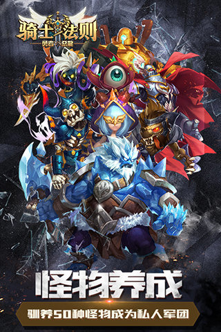 骑士法则游戏截图