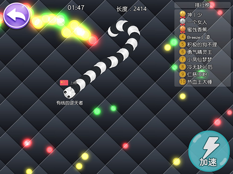 蛇蛇大作战游戏截图