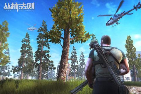 丛林法则游戏截图