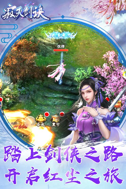 寂灭剑诀游戏截图