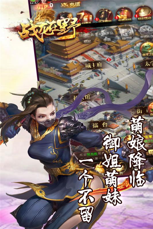 战龙在野游戏截图