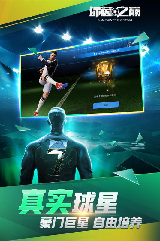 绿茵之巅游戏截图