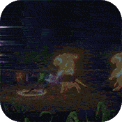 多兰大陆（万抽特权）