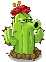 植物大战僵尸全明星仙人掌
