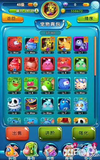 快到碗里来新手攻略 新手入门指南