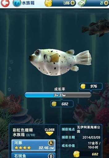 钓鱼发烧友刷重置