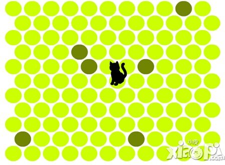 怎么抓住神经猫 怎么围住神经病猫