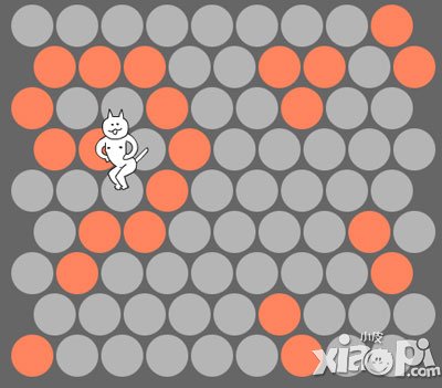 围住神经猫秘籍