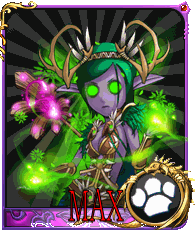 女德max