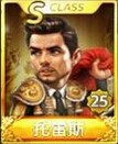 天天富翁托雷斯S级属性