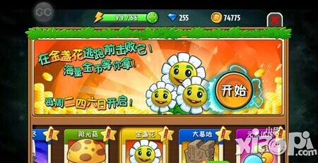 植物大战僵尸全明星金盏花模式