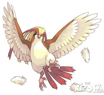 宠物小精灵官方版比雕