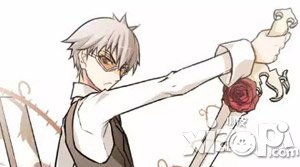 血族双刃剑宗灰者