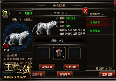 王者之剑地狱虎王