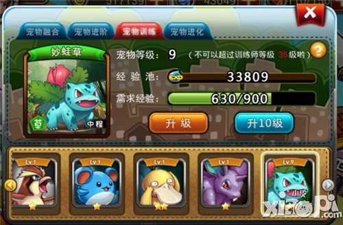 宠物小精灵官方版宠物培养心得