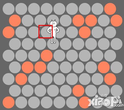 围住神经猫秘籍