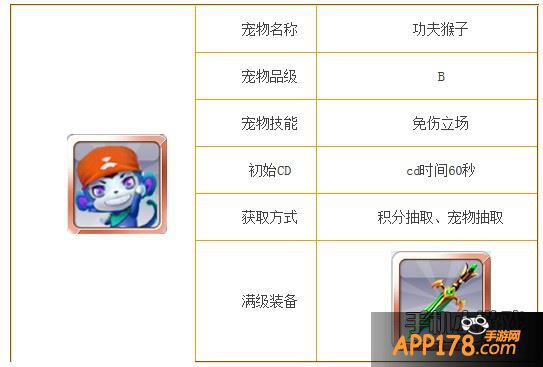 功夫猴子