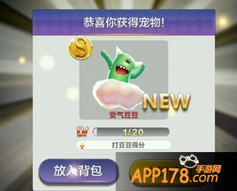 天天风之旅受气豆豆