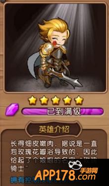 女神联盟玫瑰骑士符文怎么搭配