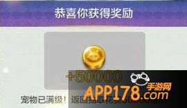 天天风之旅截图