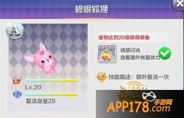 碧眼狐狸
