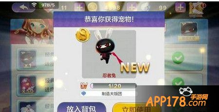 天天风之旅忍者兔