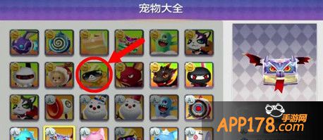 宠物大全