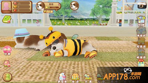 《心动小狗》让家长放心的狗狗养成游戏