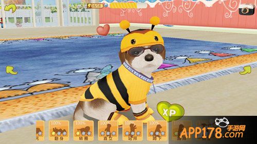 《心动小狗》让家长放心的狗狗养成游戏