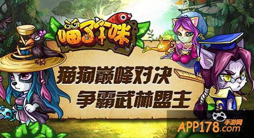 Q萌Q萌 《喵了个咪》各类齐萌宠报到