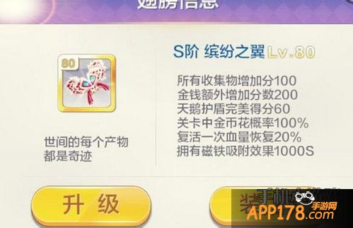 天天风之旅装备