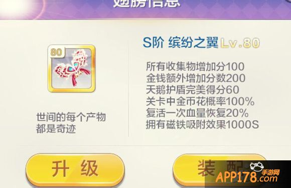 天天风之旅缤纷之翼