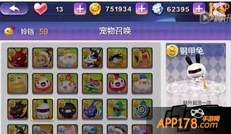 天天风之旅宠物定向召