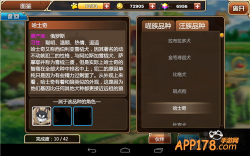 《星之契约》打分三心：画面良心 玩法用心 细节留心