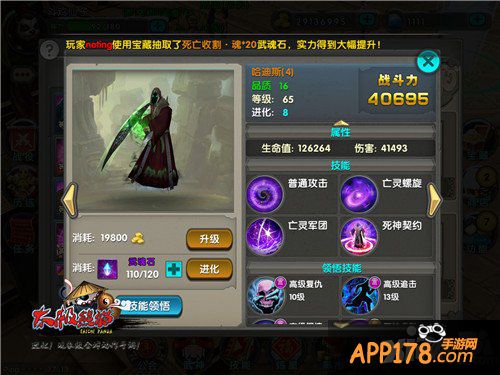 《太极熊猫》最高性价比武神大盘点