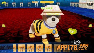 疗愈系窝心手游《心动小狗》