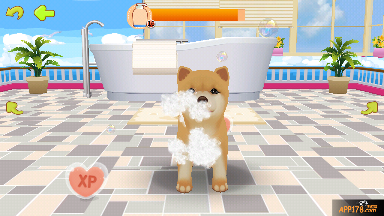 有爱心的真实玩家 《心动小狗伙伴》好玩的噱头