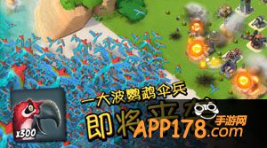 海岛奇兵鹦鹉伞兵