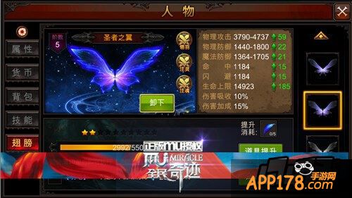 翅膀系统