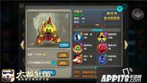 太极熊猫分赛区冠军