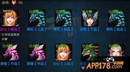 龙与精灵精灵系统