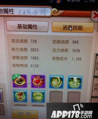 梦幻西游手游宠物选择