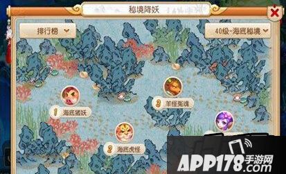 宠物